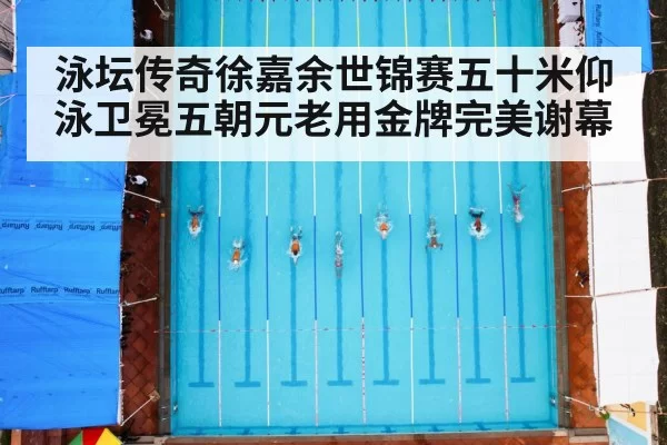 泳坛传奇徐嘉余世锦赛五十米仰泳卫冕五朝元老用金牌完美谢幕
