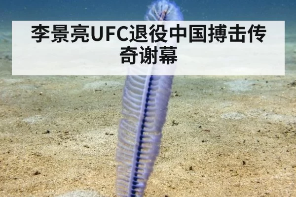 李景亮UFC退役中国搏击传奇谢幕